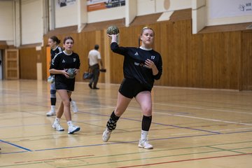 Bild 145 - wBJ TSV Ellerau - HSG Stoertal Hummeln : Ergebnis: 26:19